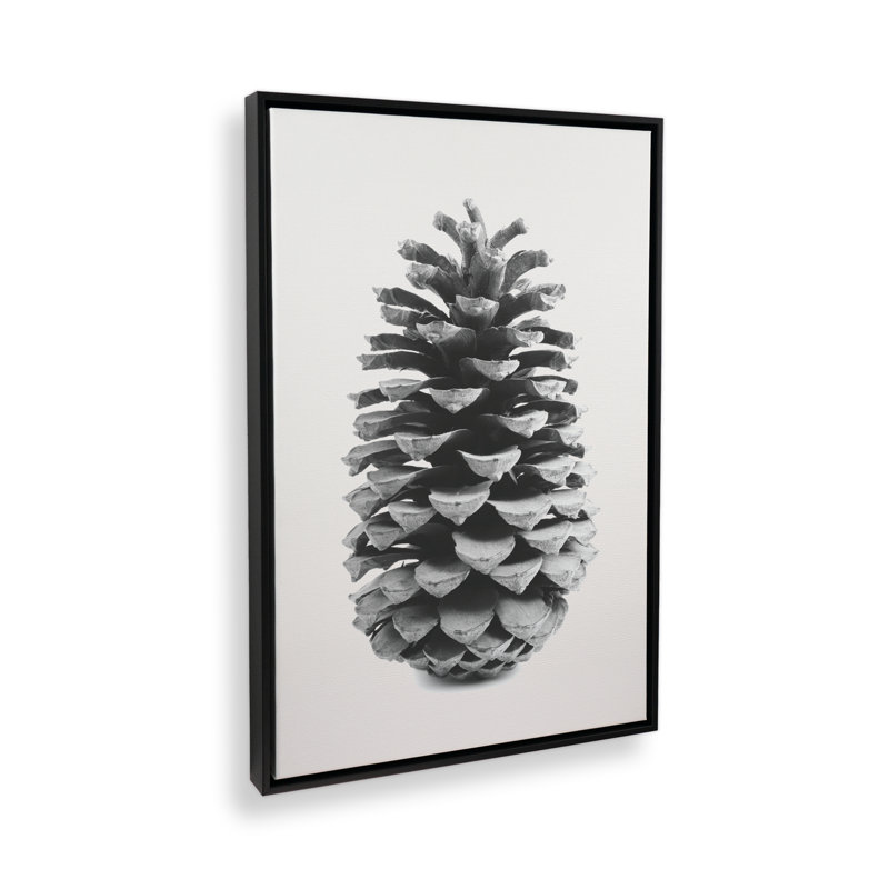 Portrait of a Pinecone kmc1001, H 20 po x l 14 po, Cadre flottant noir satiné