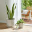  Plateau décoratif décoratif en céramique avec motif - Pots de fleurs d'intérieur élégants avec soucoupe pour patio, salon ou décoration intérieure - ensemble de 2, 8 po, 6 po, blanc-1621862973