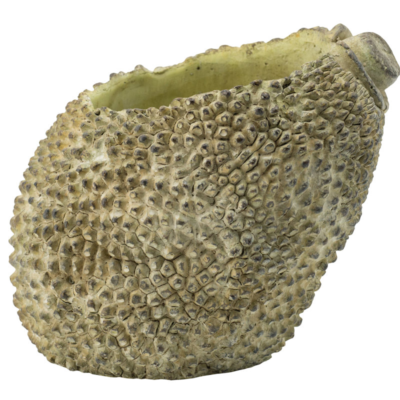 Pot à fleurs 100% ciment Uhrichsville, H 5,9 po x l 6,5 po x P 5,7 po