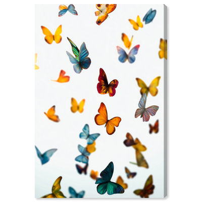 Wings of Color I Canvas Print Butterfly Wall Decor by Art Remedy, Gallery Wrapped, 20 x 30