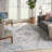 Oriental Indoor Rug-335180963