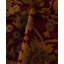 Overdyed One-of-a-Kind 4' 1" x 6' 0" Hand Knotted Area Rug