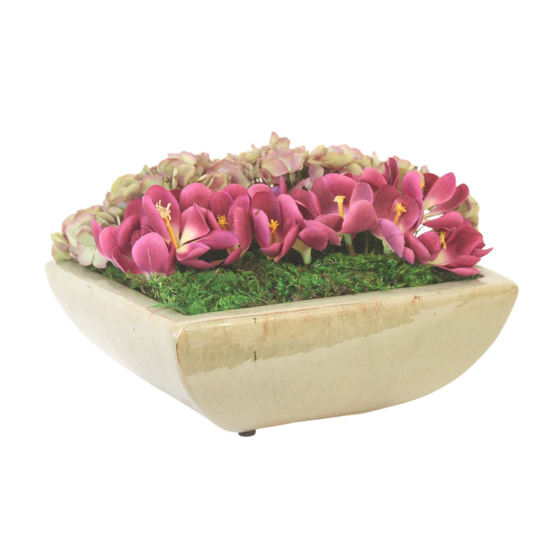 Hydrangea and Crocus Planting in Square Planter