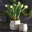 Alina Flowering Plant-82580908