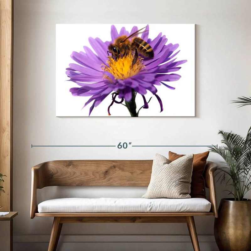 Abeille à miel qui suce le nectar, H 30 po x l 45 po