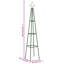 Aldrich 195cm H x 35cm W Iron Fan Trellis