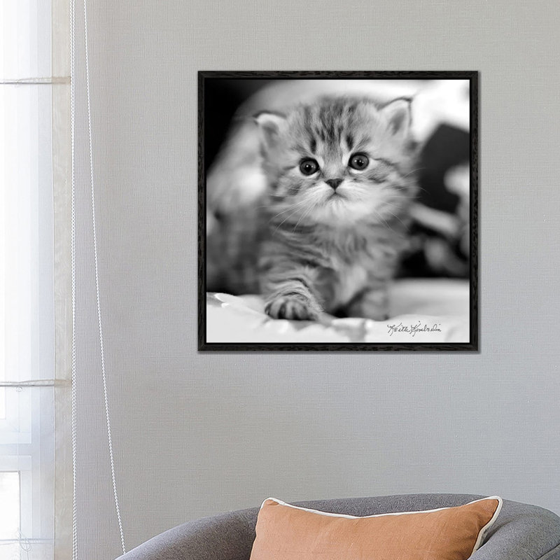 Mine 1 Piece Wall Art on Canvas, 66.04 cm H x 66.04 cm W, Black Framed