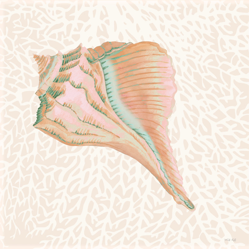 «Miami Vibe Seashell 3 on Canvas» par Cindy Jacobs, reproduction, H 20 po x l 20 po