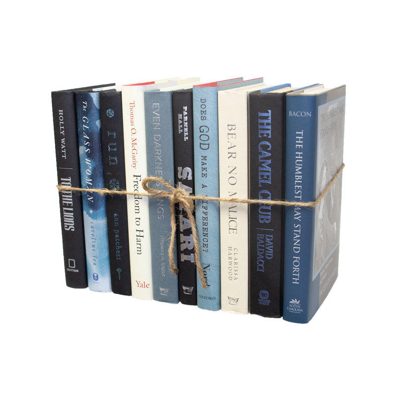 Livres décoratifs - Ensemble de livres surplombés - 1 pied de livres bleus