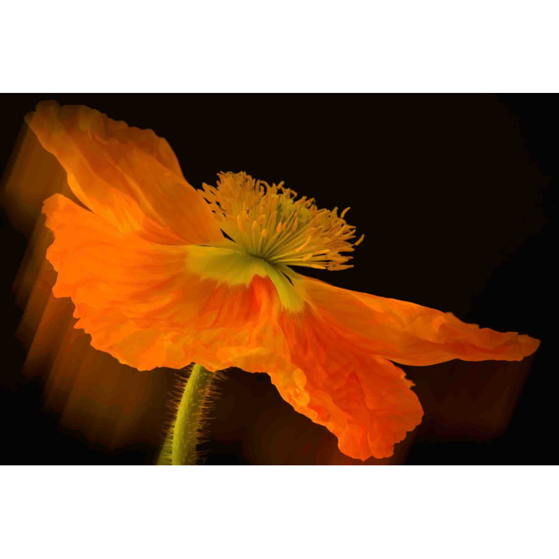 « dramatique orange », reproduction d’art sur toile tendue, 16 po x 24 po
