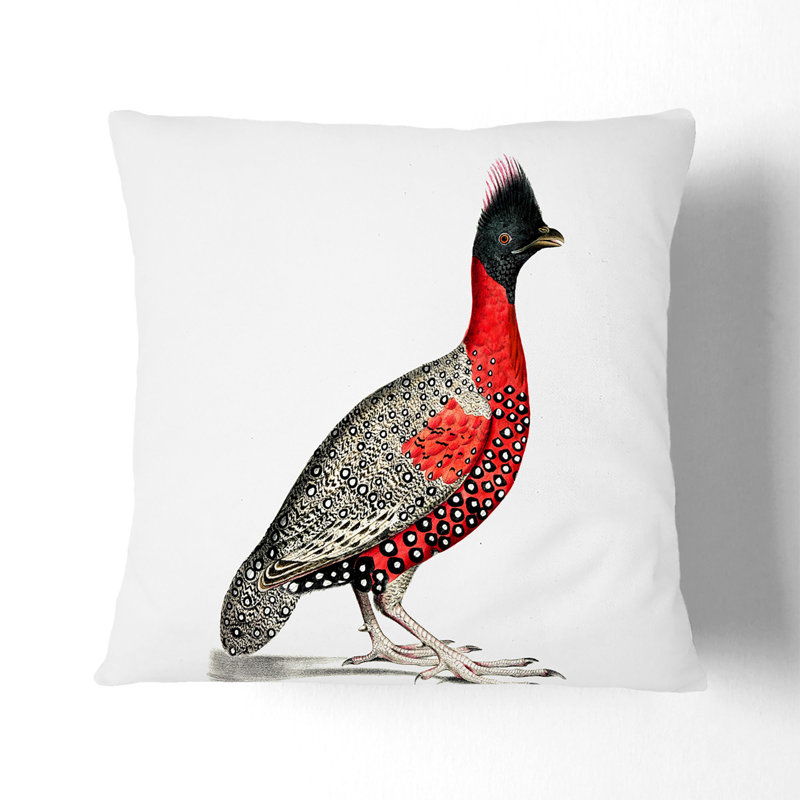 Square Throw Cushion, White, 40cm H x 40cm W x 15cm D