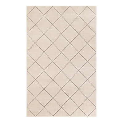 Latitude Run® Checks Novica Rug White and Silver