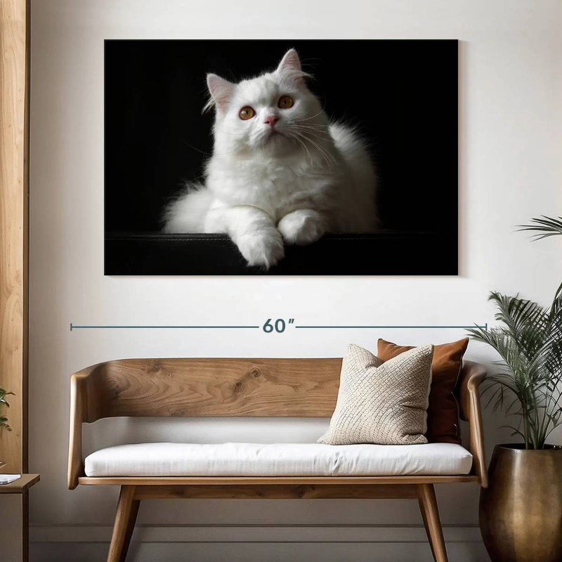 White Persian Cat, 34" H x 51" W