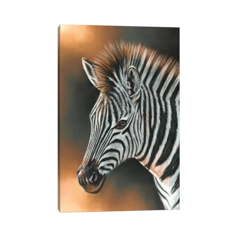 Zebra by Richard Macwee - Wrapped Canvas Print, 152.5 cm H x 101.5 cm W