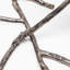 Vine Candelabra-1865400719