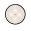 Kepner 8 - Light Chandelier