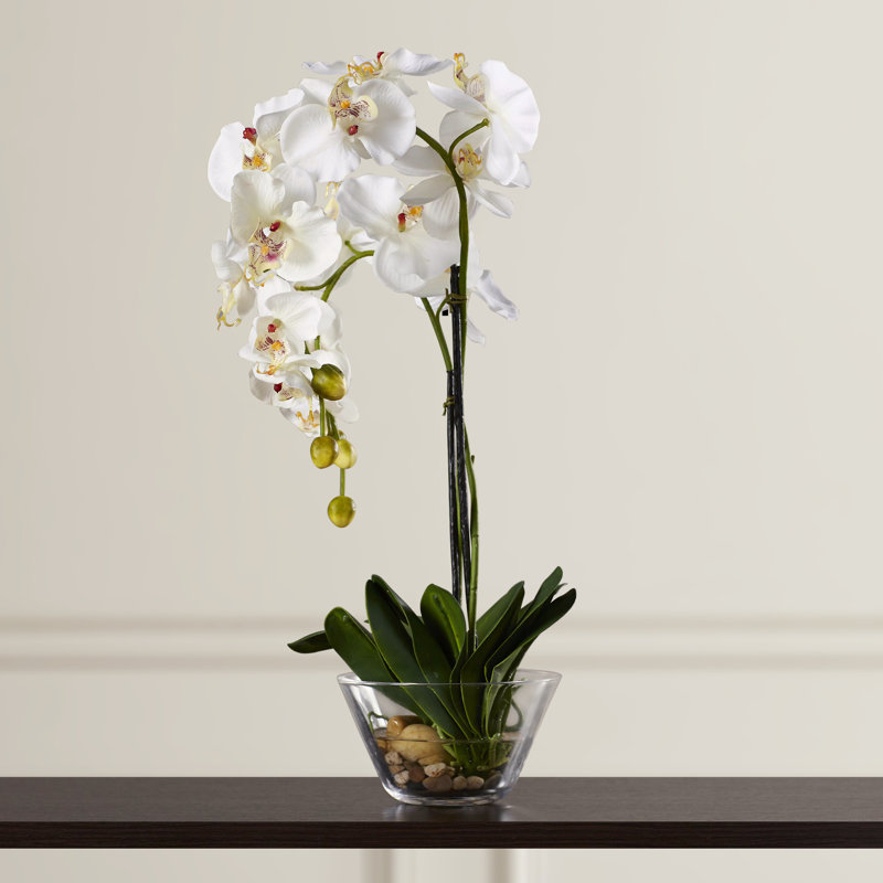 18 " Faux Orchid in Glass Vase