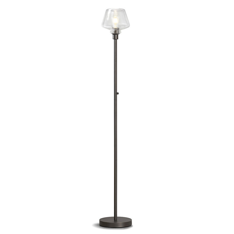 Ericdaniel 71'' Torchiere Floor Lamp, Clear, Black