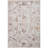 Oriental Area Rug in Silver/Sunset-68848990