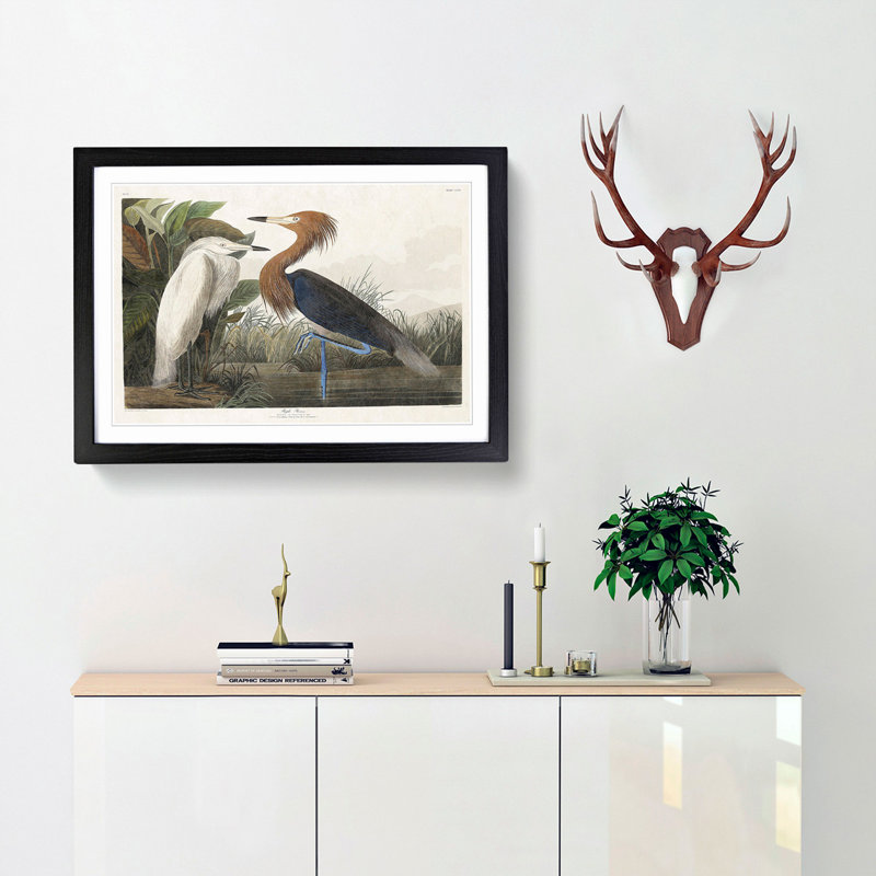 Heron by John Audubon - Picture Frame Painting Print, Black Framed, 48cm H x 65cm W x 2cm D