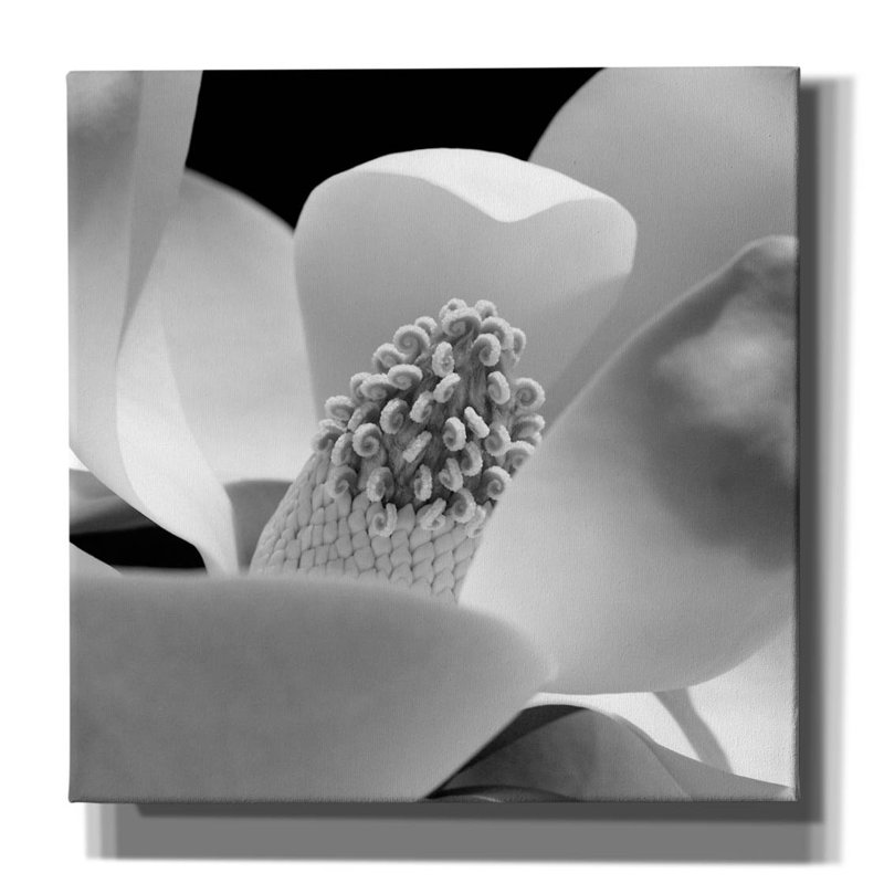 Fibonacci 1 par PhotoINC Studio, H 26 po x l 26 po x P 1,5 po