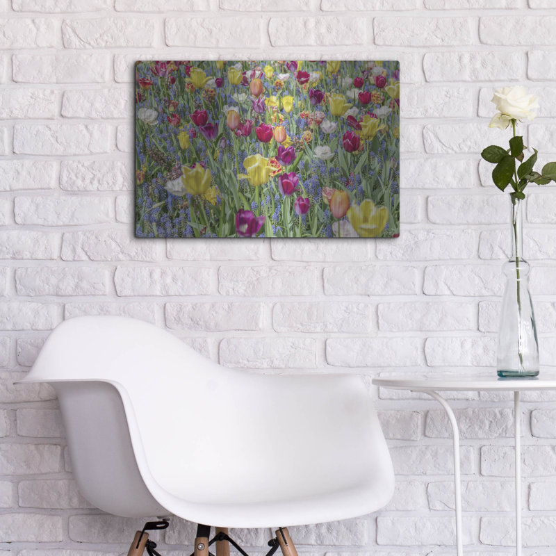 "Tulipes Kuekenhaus I" par Richard Silver, H 16 po x l 24 po