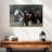 Three's Company Photography-107887664