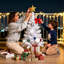 Christmas Tree-1490989429-1490989431