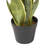 Faux Snake Plant (Sansevieria) Plant-881044442