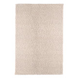 Schillinger Area Rug in Ivory