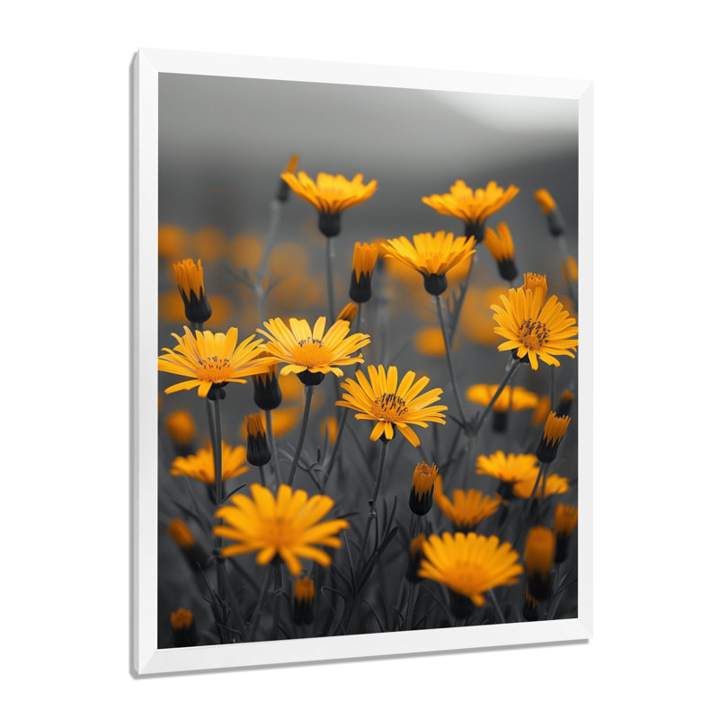Marguerite jaune et gris dans le vent I - art mural marguerite, Cadre flottant blanc, H 16 po x l 32 po