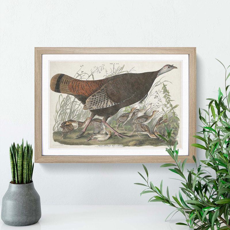 Great American Hen by John Audubon - Picture Frame Painting Print, 48cm H x 65cm W x 2cm D, Oak Framed