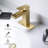 Single-handle Bathroom Faucet with Drain Assembly-64093323