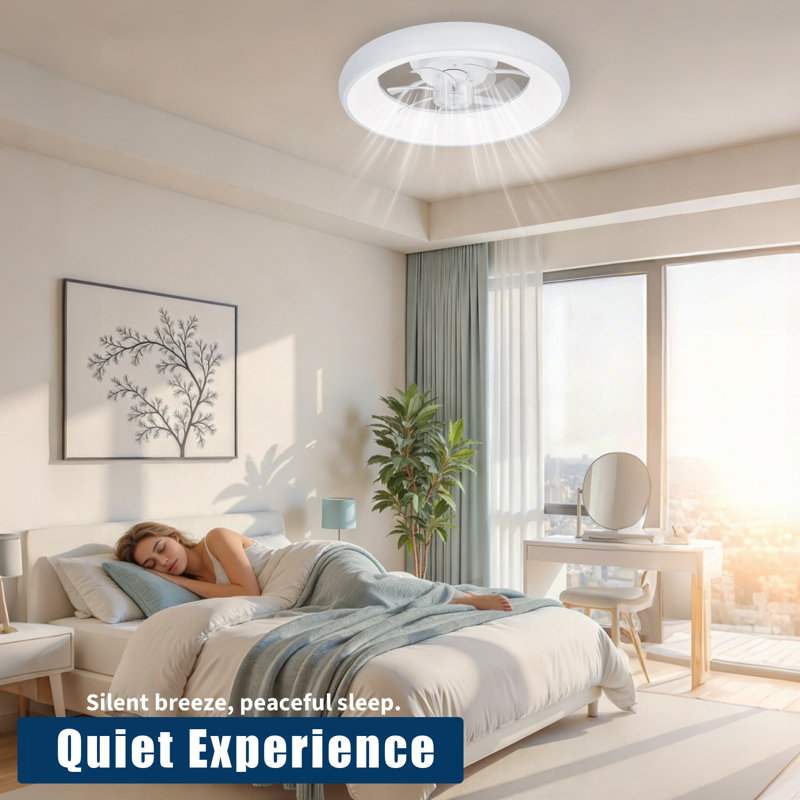 Ceiling Fan