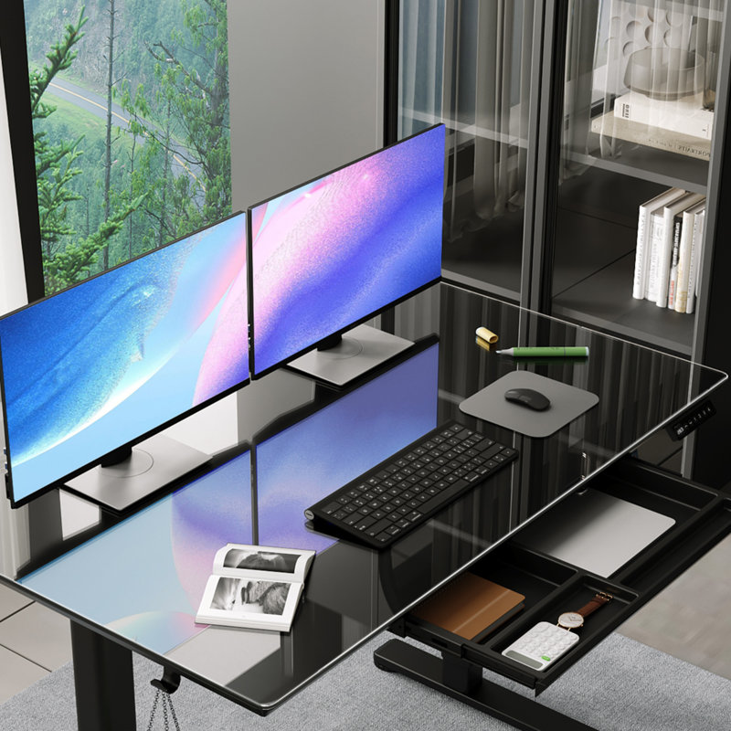 55-inch Electric Standing Desk with a Multi-Functional drawer, Wide Height Adjustment with 4 Memory Preset - Black, Black