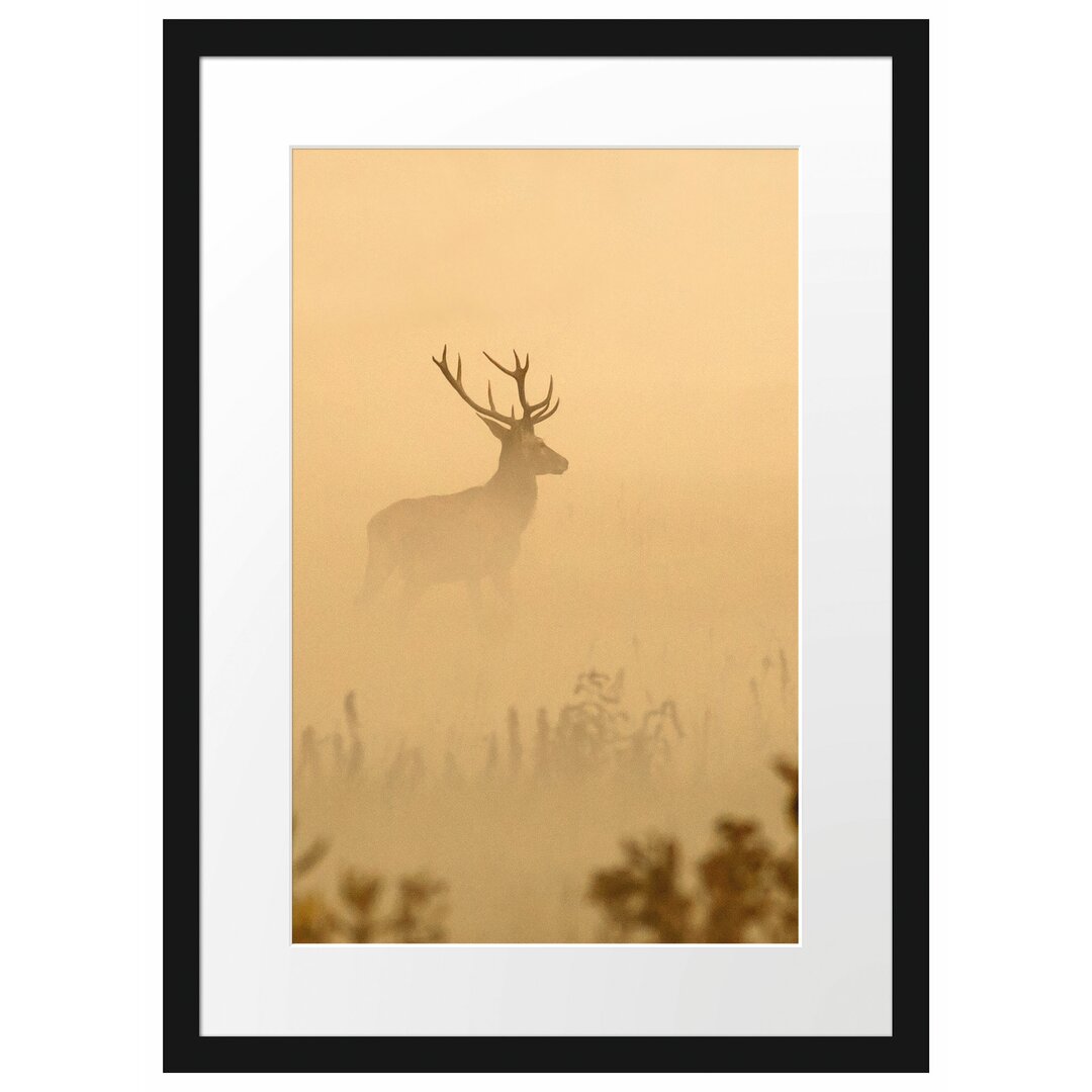 Gerahmtes Poster Hirsch im Nebel