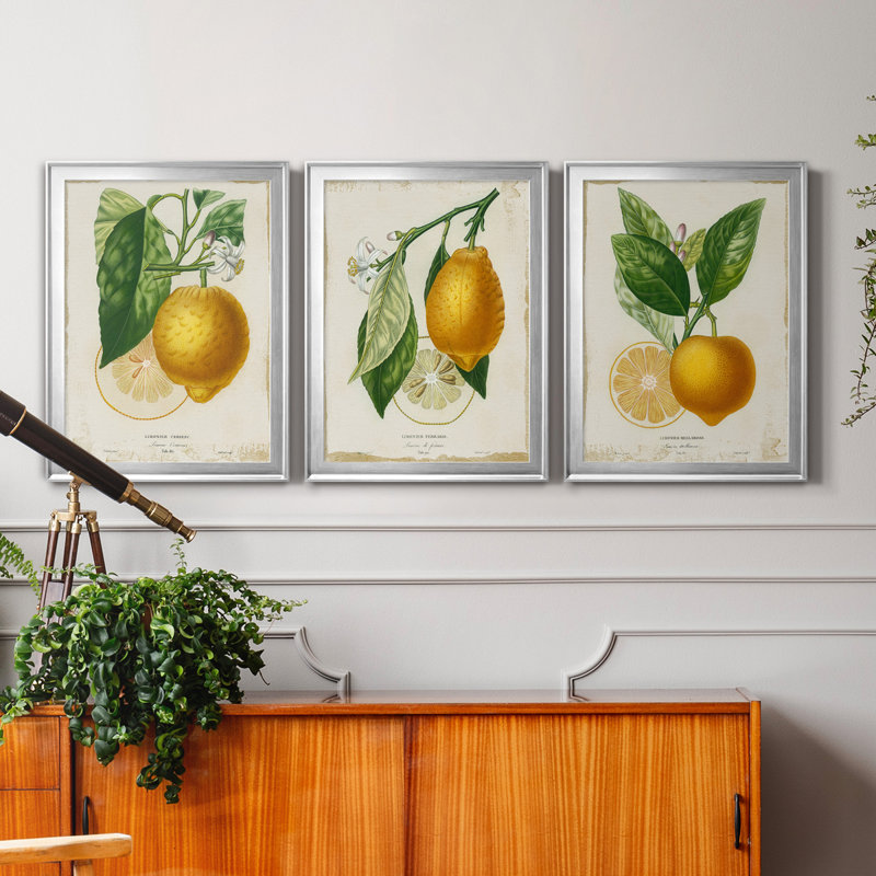 «French Lemon I», ensemble de 3 peintures sur toile encadrées, Argent, H 22,5 po x l 91,5 po x P 1,5 po