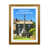 Brown Framed
