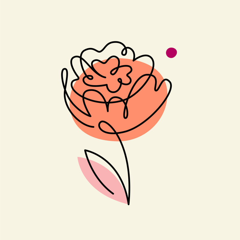 Peony Illustration by Venimo - Wrapped Canvas Print, 30cm H x 30cm W x 3.8cm D