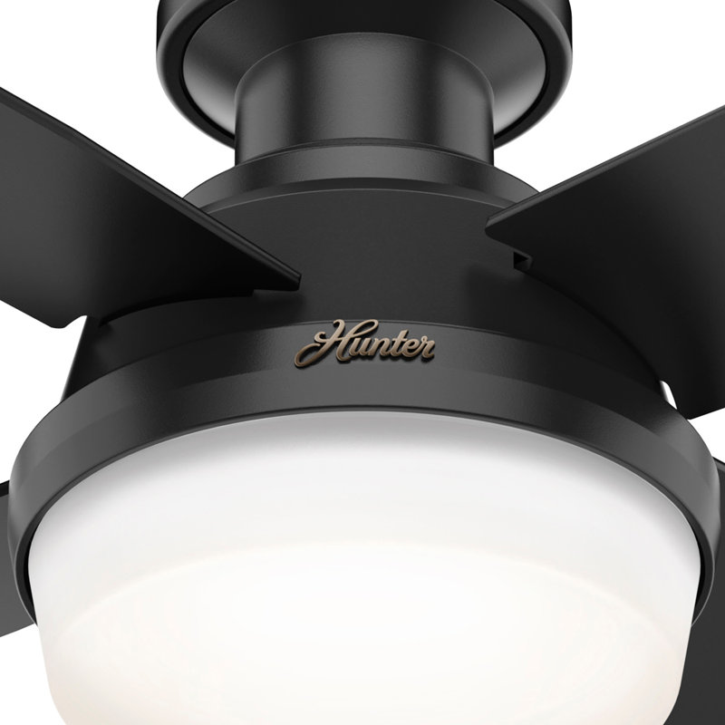 Ventilateur de plafond d'extérieur encastré à 4 pales 44 po avec ensemble d'éclairage Dempsey, Noir mat