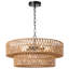 Caytlen Iron 5-Light Chandelier-1071535189