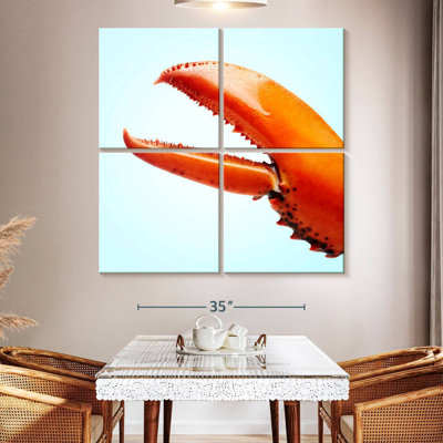 Griffe de homard rouge Brampt