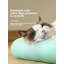 Niche pour chien-1197683758