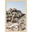 Boulder Beach No 2 by Shot by Clint Wood Framed Wall Art Print-1548587179-1548587180