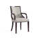 Elianys 18.5'' H Upholstered Beech Armchair