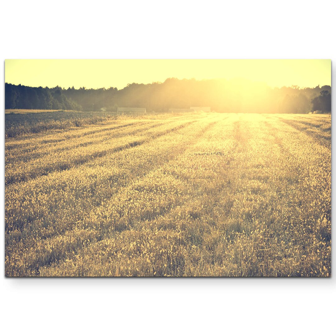 Leinwandbild Herbstliche Wiese in der Abendsonne