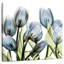 Harnek Tulip Blues-109203258