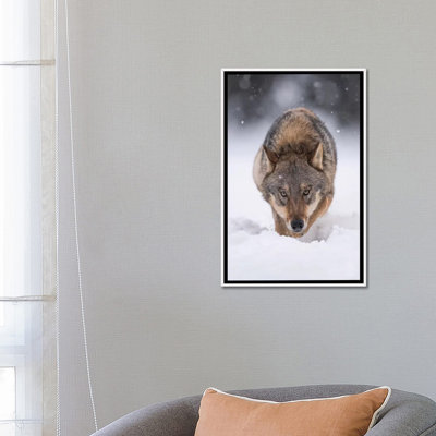 " Wolf Hunting In The Snow " by Dick Van Duijn