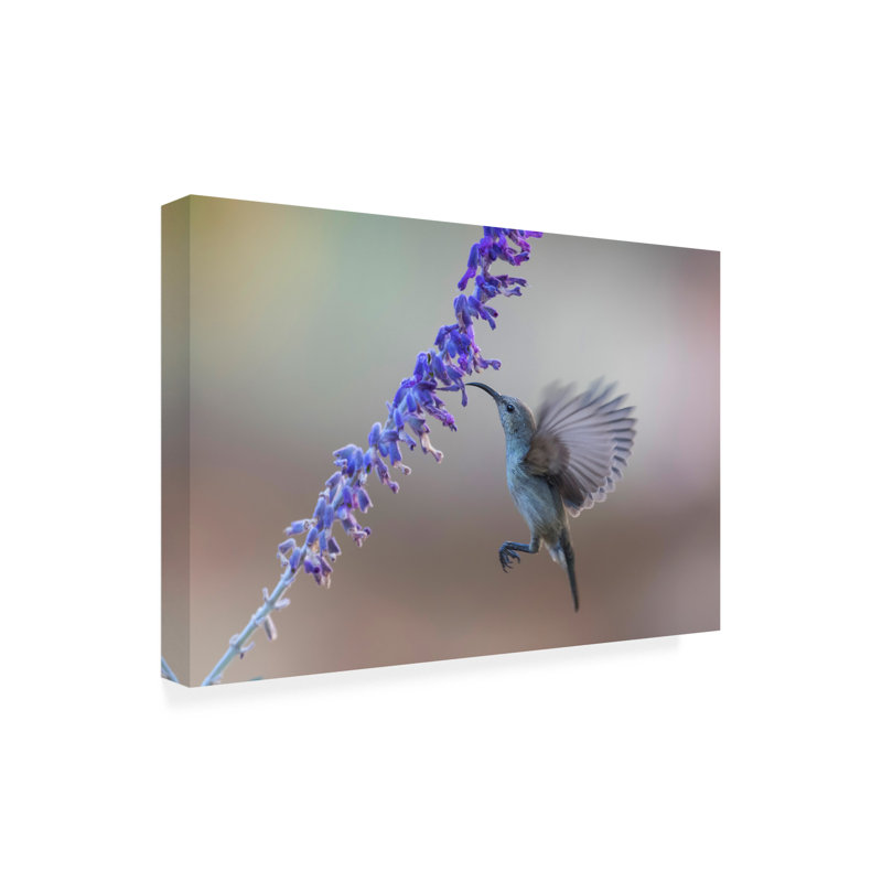 Art sur toile «Bachel Muayad Amer oiseau parmi les fleurs», H 16 po x l 24 po