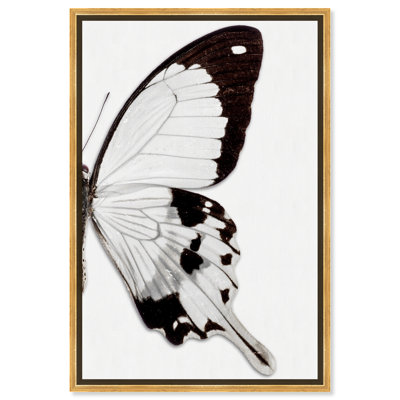 Papillon monochrome II - photographie sur toile